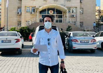 Şırnak Barosu’ndan ağaç katliamına ilişkin suç duyurusu