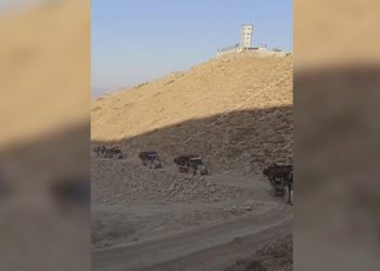 Şırnak’ta ağaç kıyımı devam ediyor