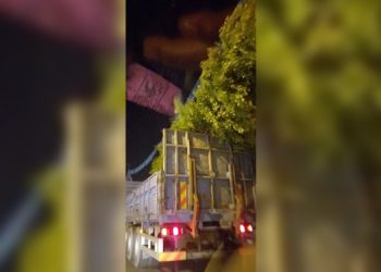 TMMOB: Ankara Valiliği, gar önüne yerleştirilen mabet ağaç fidanlarını kaldırdı