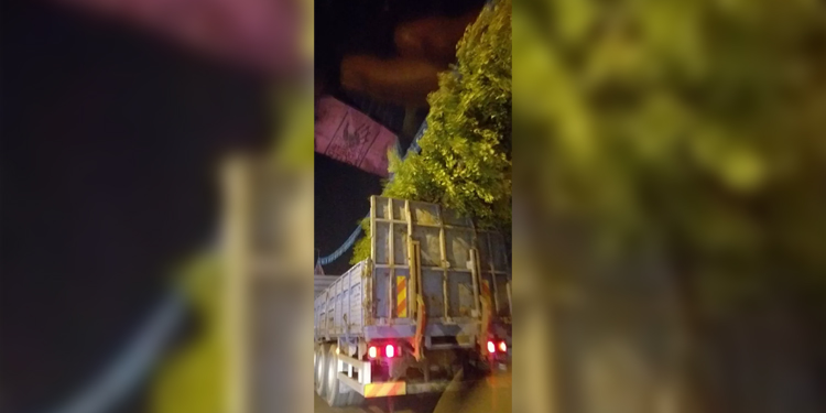 TMMOB: Ankara Valiliği, gar önüne yerleştirilen mabet ağaç fidanlarını kaldırdı TMMOB: Ankara Valiliği, gar önüne yerleştirilen mabet ağaç fidanlarını kaldırdı