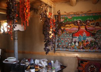 Tohumda takas yerine asimilasyon