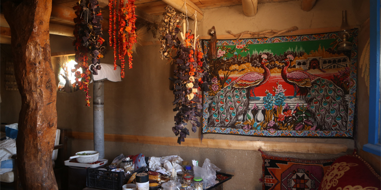 Tohumda takas yerine asimilasyon Tohumda takas yerine asimilasyon