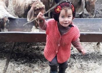 Müslüme Yağal’a ilişkin soruşturma sürüyor