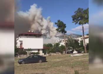 Mersin’de orman yangını