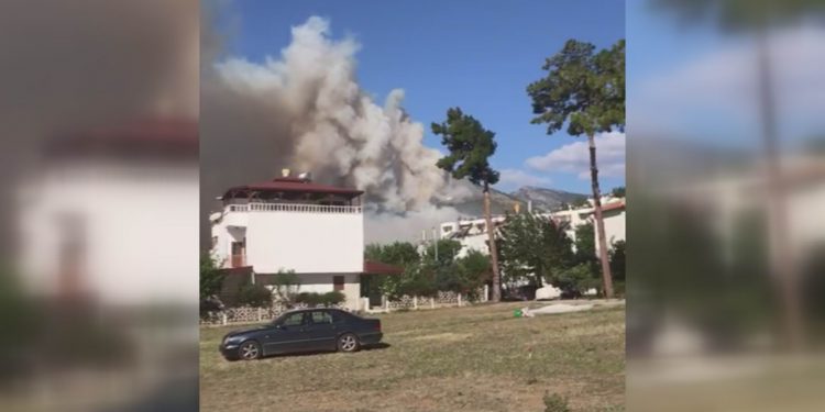 Mersin’de orman yangını