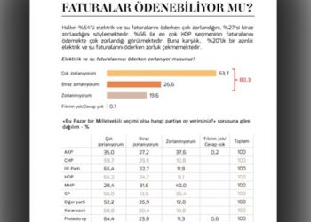 Faturalarını ödemekte zorlanan en fazla seçmen HDP’nin