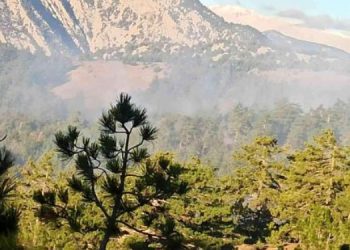 Feke’deki orman yangını kontrol altına alındı