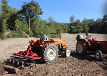 Sabah tarla, akşam direniş