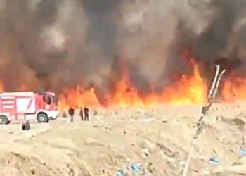 Kuş Cenneti’nde yine yangın