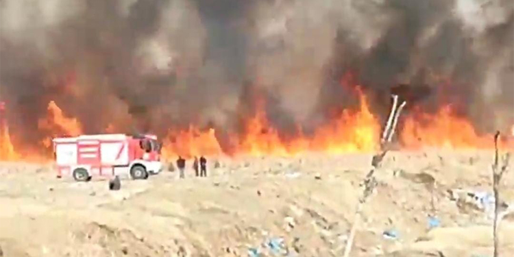 Kuş Cenneti’nde yine yangın Kuş Cenneti’nde yine yangın