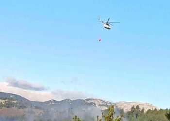 Feke’de ormanlık alanda yangın çıktı