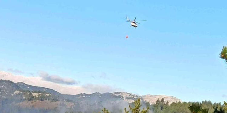 Feke’de ormanlık alanda yangın çıktı Feke’de ormanlık alanda yangın çıktı