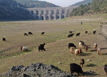 Alibeyköy barajı son 10 yılın en düşük ikinci seviyesinde