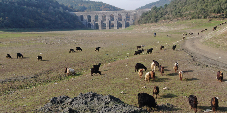 Alibeyköy barajı son 10 yılın en düşük ikinci seviyesinde Alibeyköy barajı son 10 yılın en düşük ikinci seviyesinde