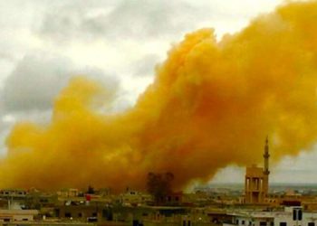 Ekolojist Gürsucu: Amasız fakatsız savaşa dur diyelim