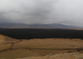 Kuş Cenneti’ndeki yangın kontrol altına alındı