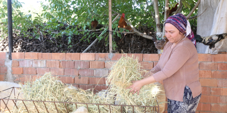 Ekolojik şiddete karşı bir simge: Necla Işık Ekolojik şiddete karşı bir simge: Necla Işık