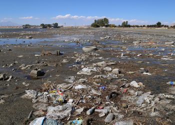 Van Gölü kıyısından 40 ton çöp toplandı