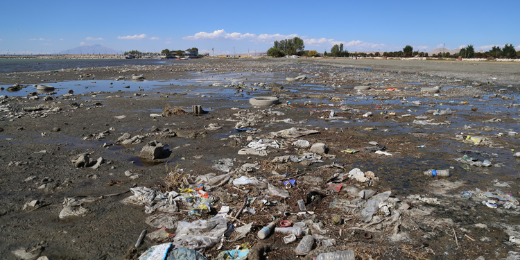 Van Gölü kıyısından 40 ton çöp toplandı Van Gölü kıyısından 40 ton çöp toplandı