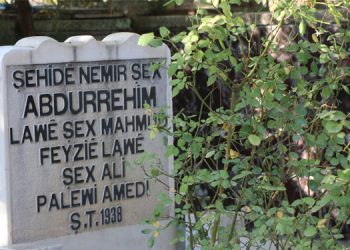 Yazar Özdemir: Şeyh Abdurrahim ulusal bilincin simgesidir