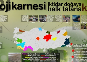 Ekoloji karnesi: İktidar doğaya, halk talana karşı