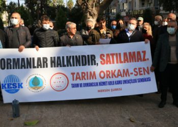 ‘Ormana dair yönetmelikler Anayasa’ya aykırıdır’