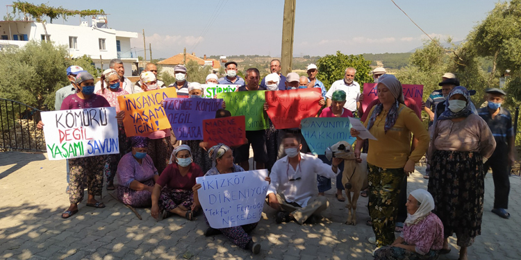 Akbelen Ormanı’nda yeniden keşif yapılacak Akbelen Ormanı’nda yeniden keşif yapılacak