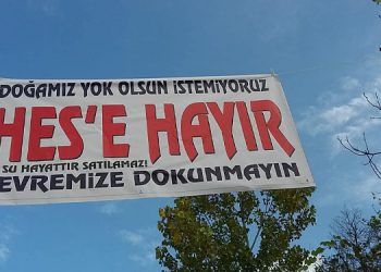 Bilirkişi: Ordu’da HES’in kamu yararı yok