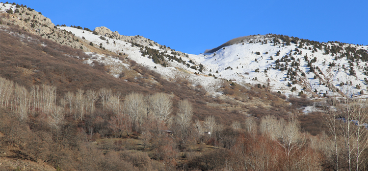 ÇED raporu beklenmeden maden faaliyeti başlatıldı ÇED raporu beklenmeden maden faaliyeti başlatıldı