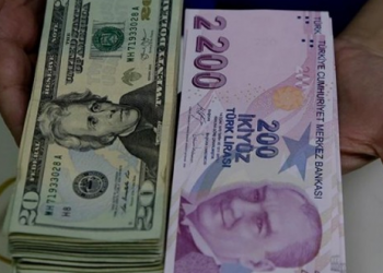 İktisatçı Nilgün Erdem: Borca dayalı rejim tıkandı