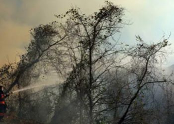 Trabzon’da 4 noktada orman yangını