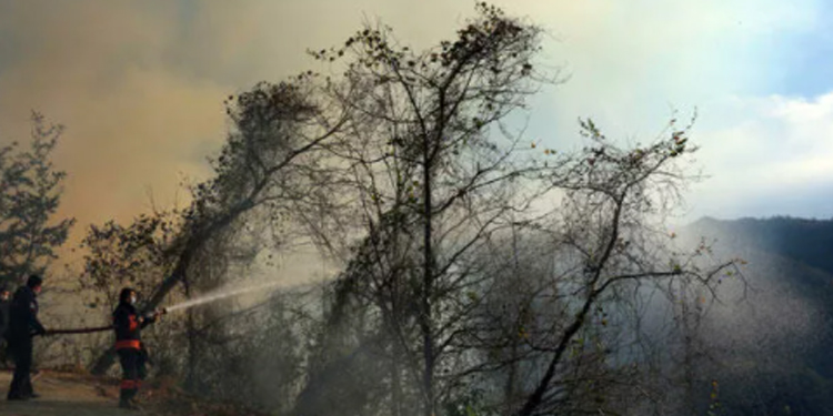 Trabzon’da 4 noktada orman yangını Trabzon’da 4 noktada orman yangını