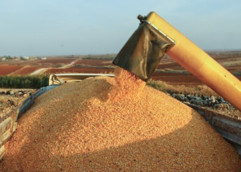 ‘Dövizdeki artışla zarara uğrayan çiftçi tarımdan vazgeçti’