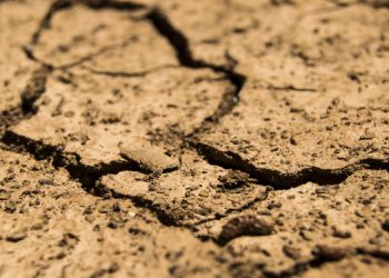 Baraj, kuraklık tehdidi altında: Tokat’taki Almus Gölü’nde su seviyesi kritik ölçüde azaldı