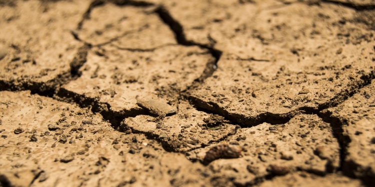 Baraj, kuraklık tehdidi altında: Tokat’taki Almus Gölü’nde su seviyesi kritik ölçüde azaldı Baraj, kuraklık tehdidi altında: Tokat’taki Almus Gölü’nde su seviyesi kritik ölçüde azaldı