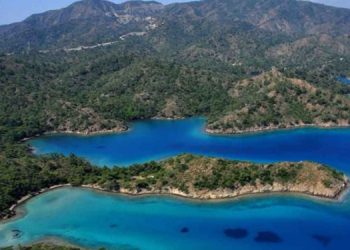 Alavara Koyu şimdilik kurtuldu