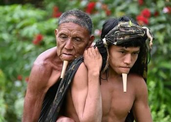 Amazon yerlisinin babası sırtında 6 saat yürümesi, aşıya erişimde eşitsizliğin simgesi oldu Amazon yerlisinin babası sırtında 6 saat yürümesi, aşıya erişimde eşitsizliğin simgesi oldu