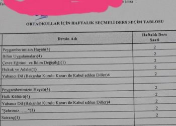 Aydın’da bazı okullarda Kürtçe seçmeli dersten çıkarıldı