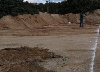 Çeşme’deki ağaç katliamına inceleme başlatıldı