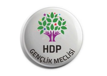 Dersim Dağ: Gençler yaşamak ve yaşatmak için mücadele ediyor