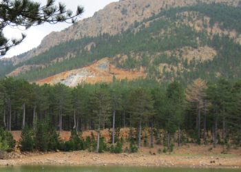 Olivin Madeni’ne mahkemeden ret