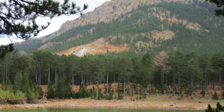 Olivin Madeni’ne mahkemeden ret Olivin Madeni’ne mahkemeden ret