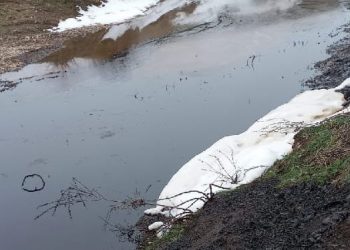 Petrol sızıntısı çevre kirliliğine neden oldu