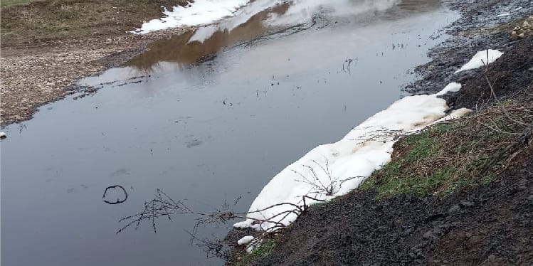 Petrol sızıntısı çevre kirliliğine neden oldu Petrol sızıntısı çevre kirliliğine neden oldu