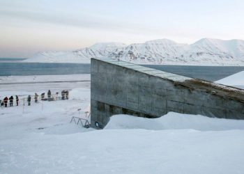 Arktik tohum kasasına yeni tohumlar geliyor