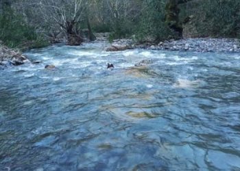 Bodrum baraj projesine karşı dava açıldı