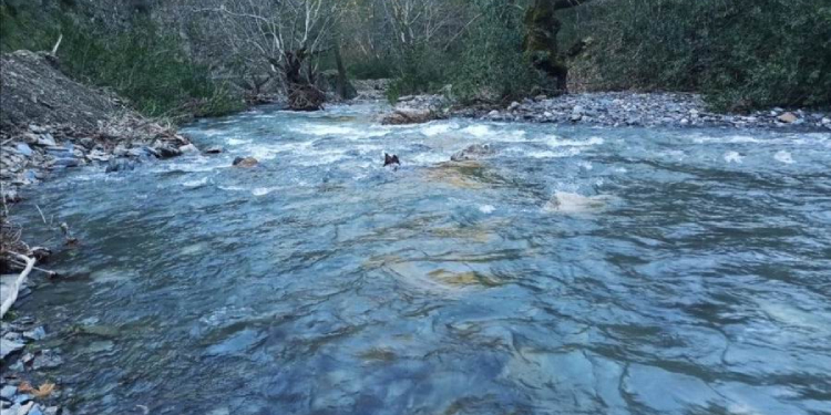 Bodrum baraj projesine karşı dava açıldı Bodrum baraj projesine karşı dava açıldı