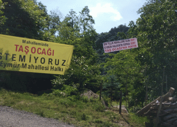Danıştay Ordu’da taş ocağına izin vermedi