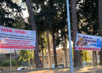 “Hayvanları korumak devletin görevi”