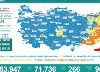 Korona tablosu: 266 vefat, 71 bin 736 yeni vaka
